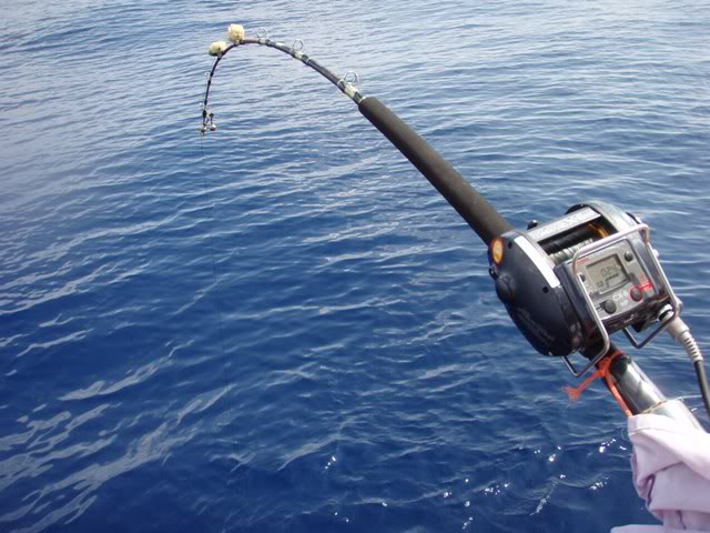 download video memancing ikan besar
